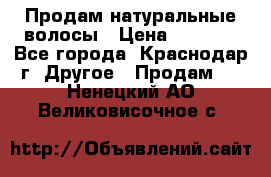 Продам натуральные волосы › Цена ­ 3 000 - Все города, Краснодар г. Другое » Продам   . Ненецкий АО,Великовисочное с.